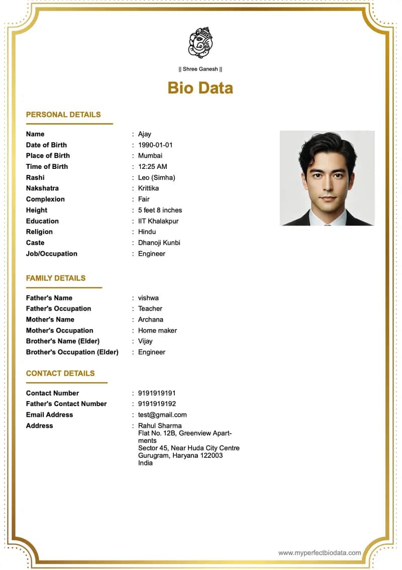 Professional Modern marriage biodata template