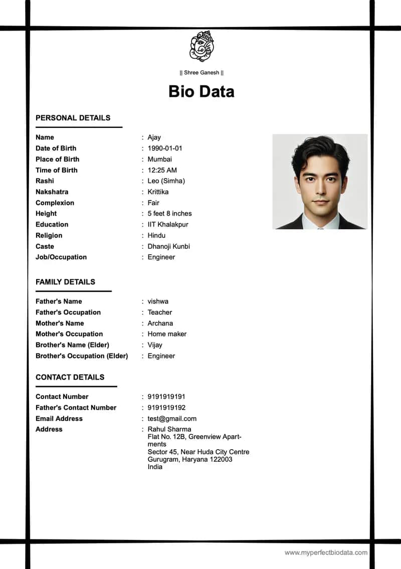 Modern Professional marriage biodata template