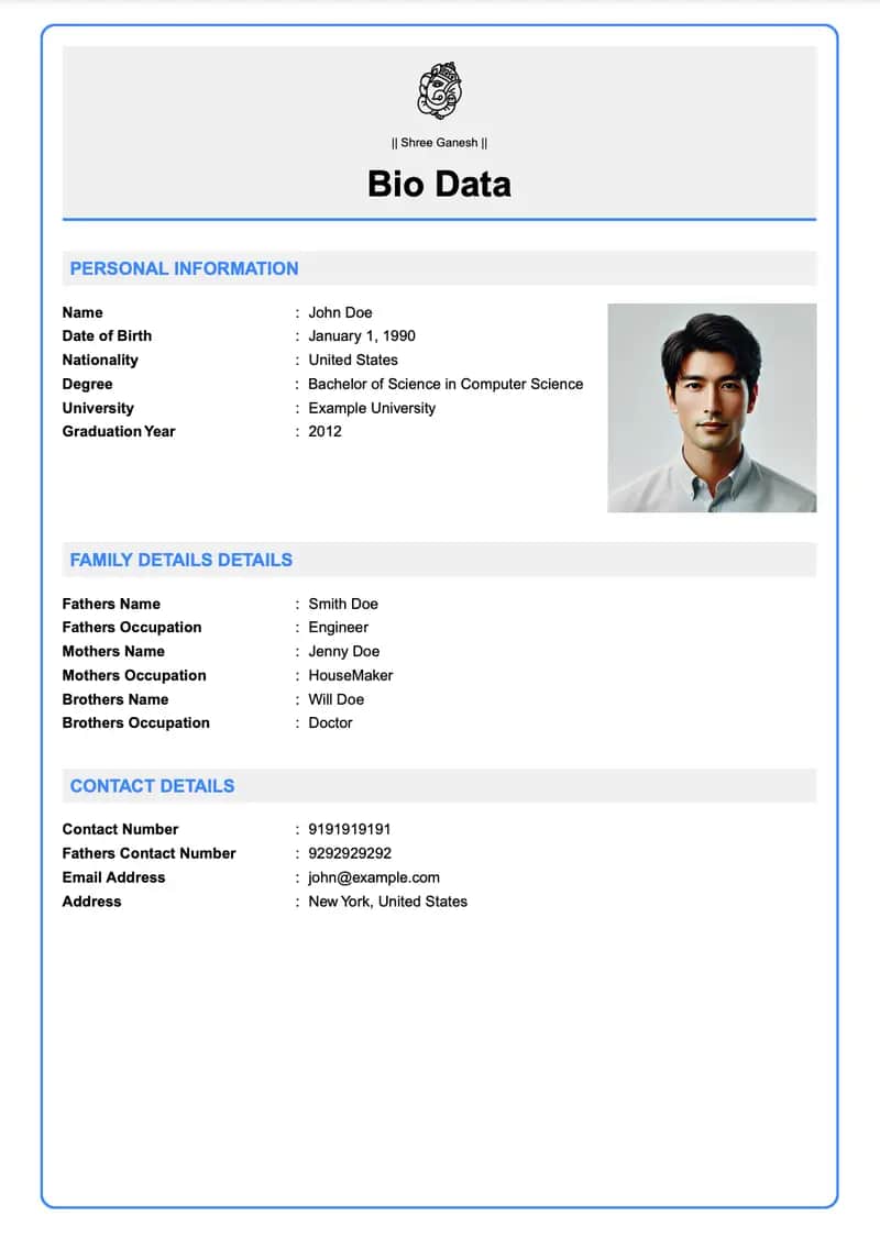 Modern Professional marriage biodata template