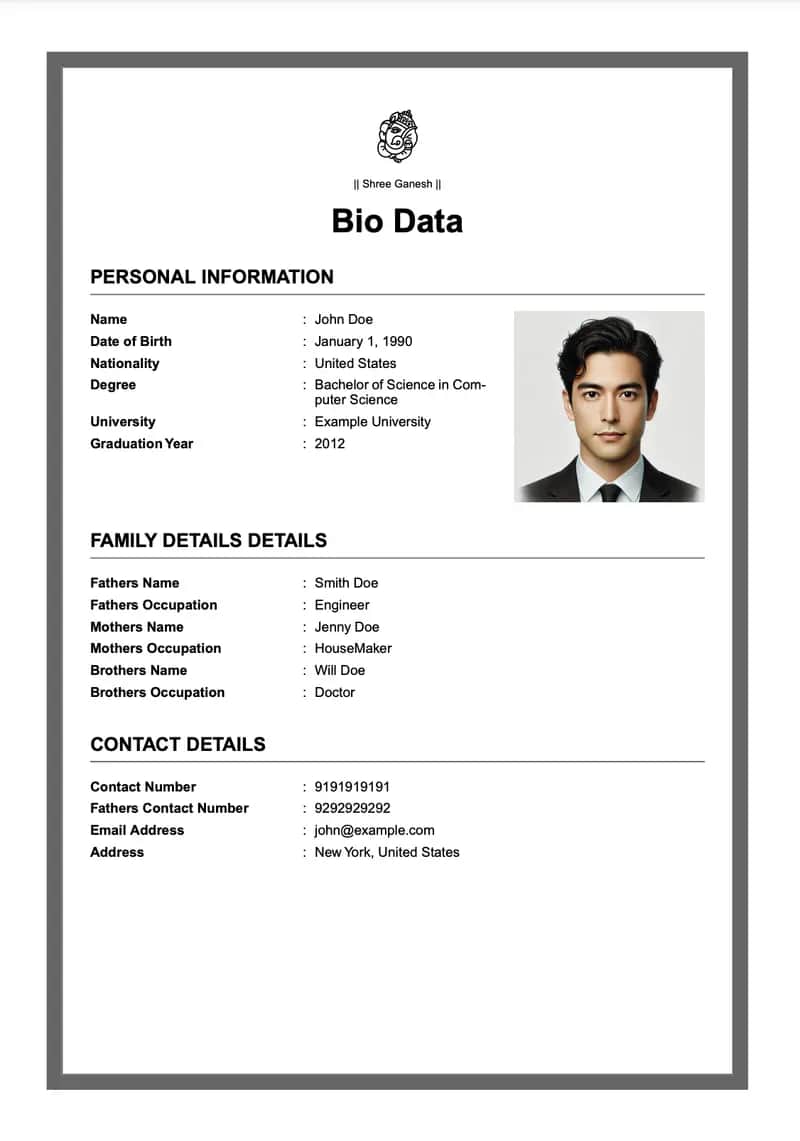 Contemporary Style marriage biodata template